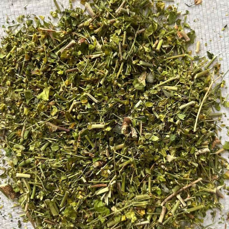 猫眼草干货猫眼草中药材！欢迎选购！量大从优！