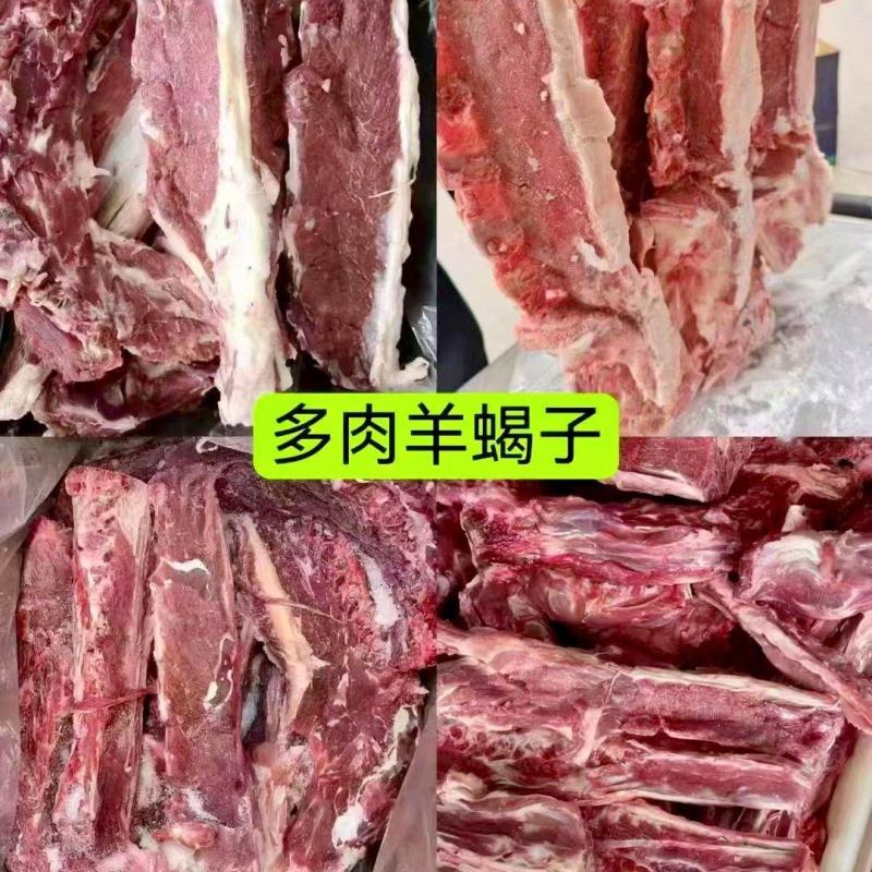 精品多肉羊蝎子满肉羊蝎子精品不剔肉羊蝎子
