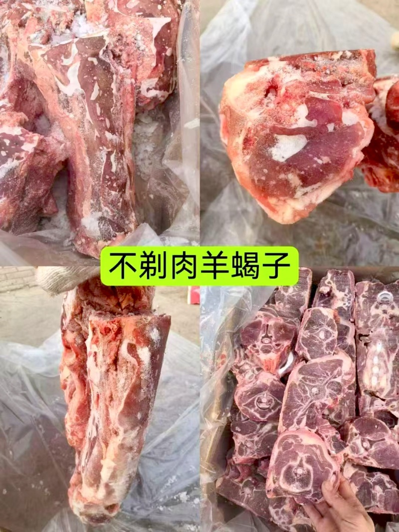 精品多肉羊蝎子满肉羊蝎子精品不剔肉羊蝎子