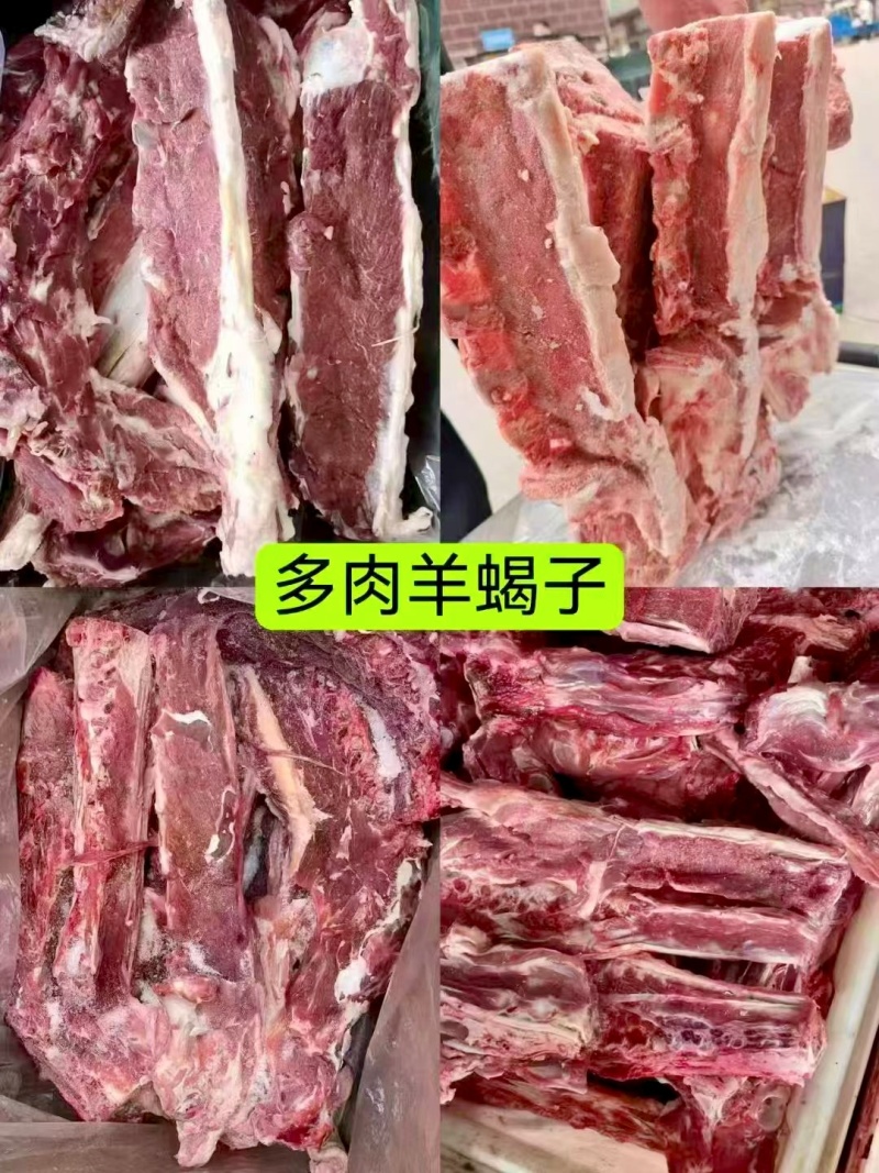 精品多肉羊蝎子满肉羊蝎子精品不剔肉羊蝎子