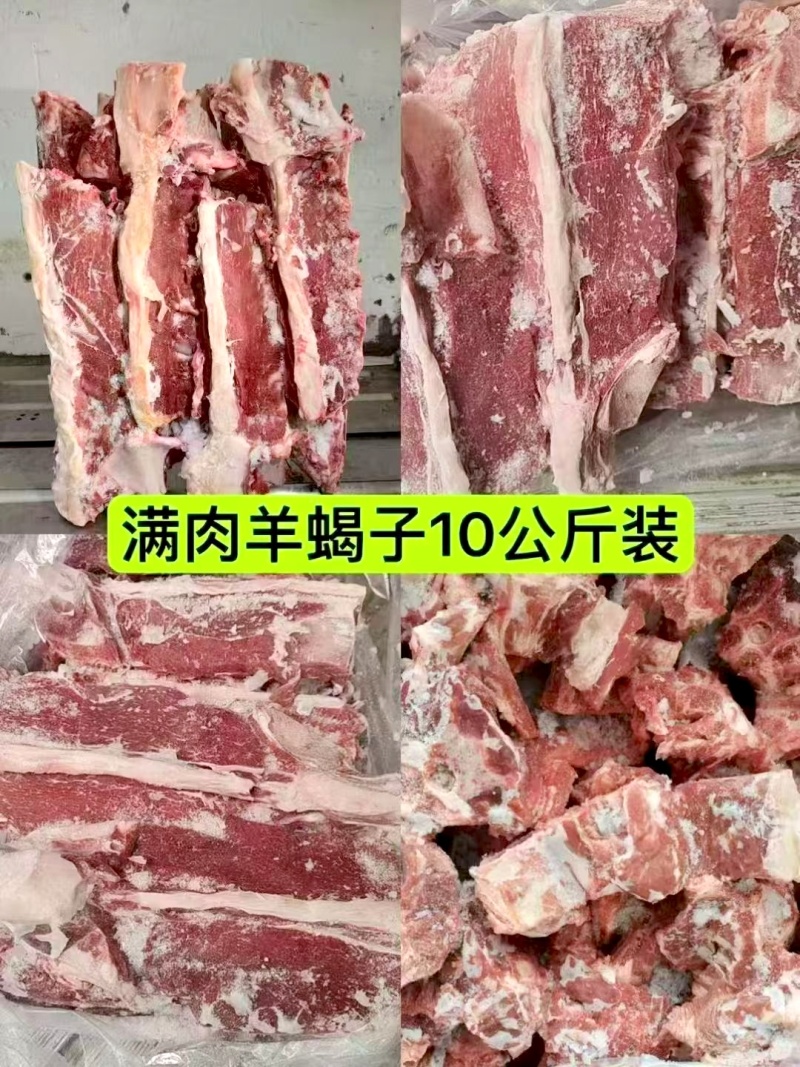 精品多肉羊蝎子满肉羊蝎子精品不剔肉羊蝎子