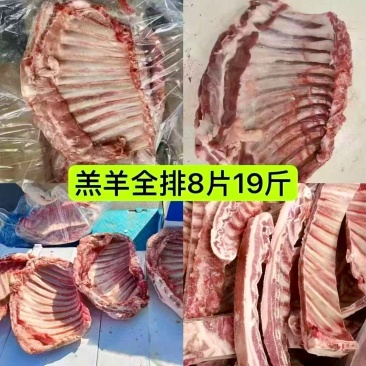 A级羔羊全排原切羔羊整排（A级）