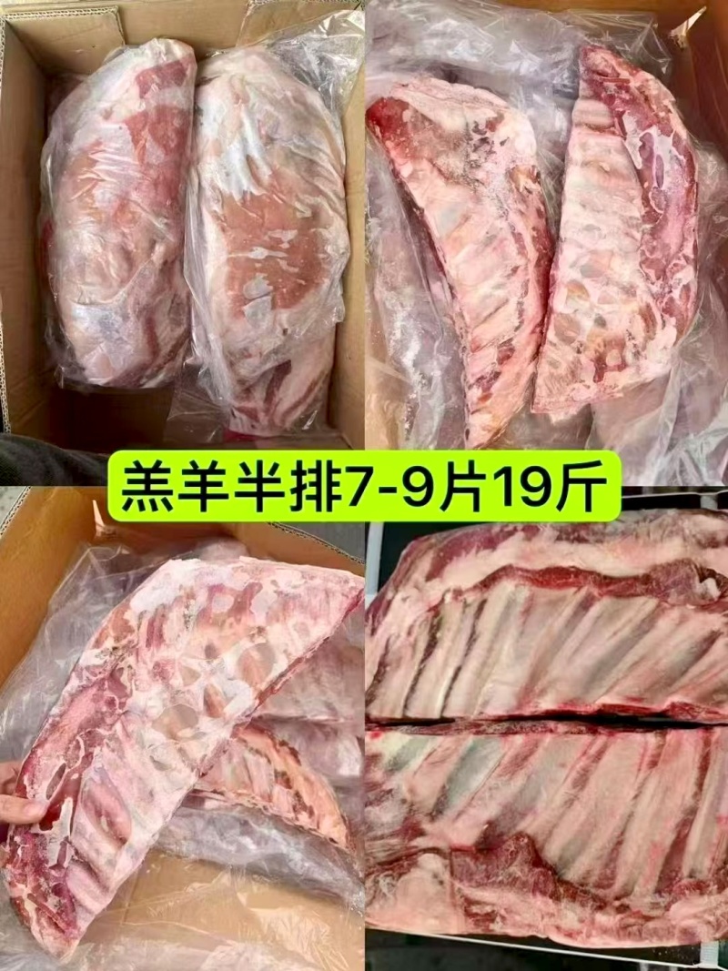 A级羔羊全排原切羔羊整排（A级）
