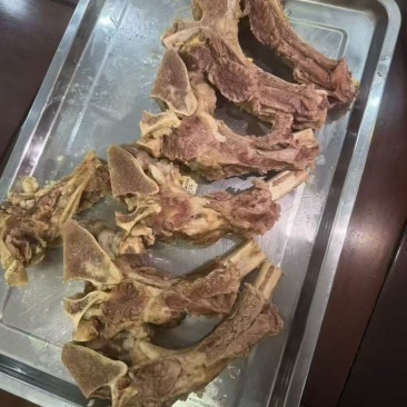 牛肋眼骨