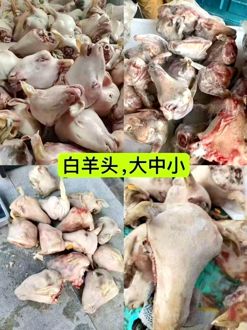 优质全熟羊头肉A级白羊头小花头