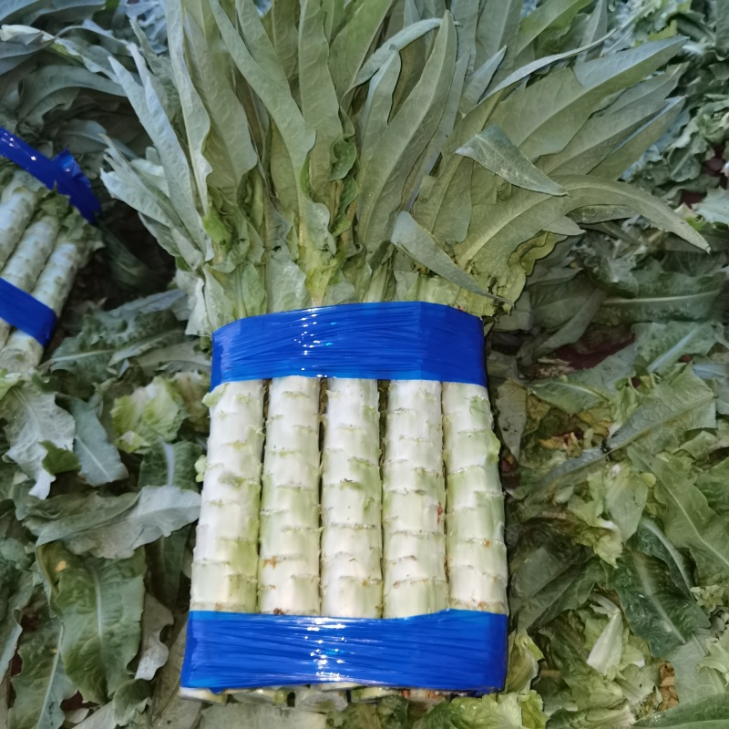 张北莴笋已经大量上市价格便宜