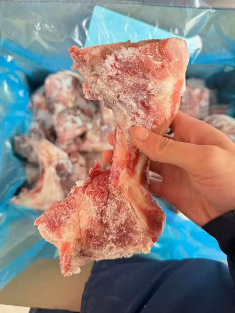 前棒骨
