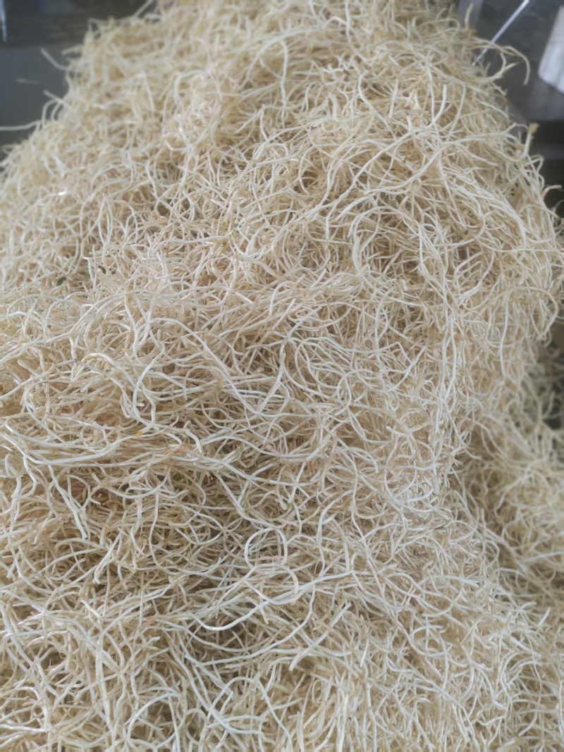 鱼腥草