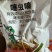 红犇高含量噻虫嗪水稻稻飞虱小麦蚜虫韭菜芦苇蓟马农药杀虫剂