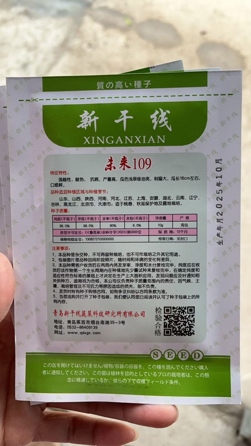 未来109水果黄瓜耐热品种强磁品种种子