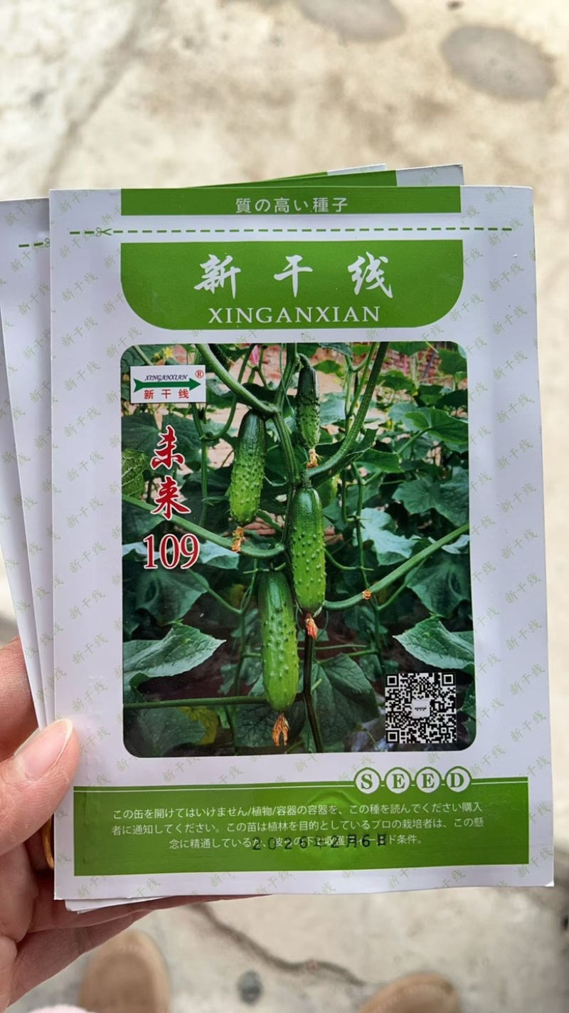 未来109水果黄瓜耐热品种强磁品种种子