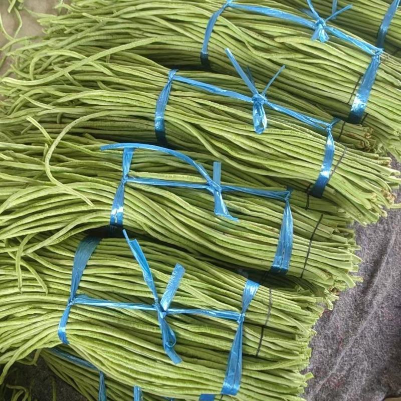 湖北豇豆青条豆角价格美丽量大从优欢迎询价量大从优热卖全国