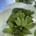 苹果蕉