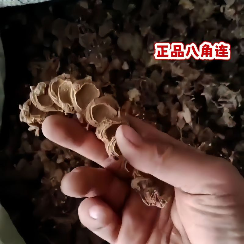 八角莲金魁莲鬼臼一把伞八角连八角七江边一碗水袋装中药材
