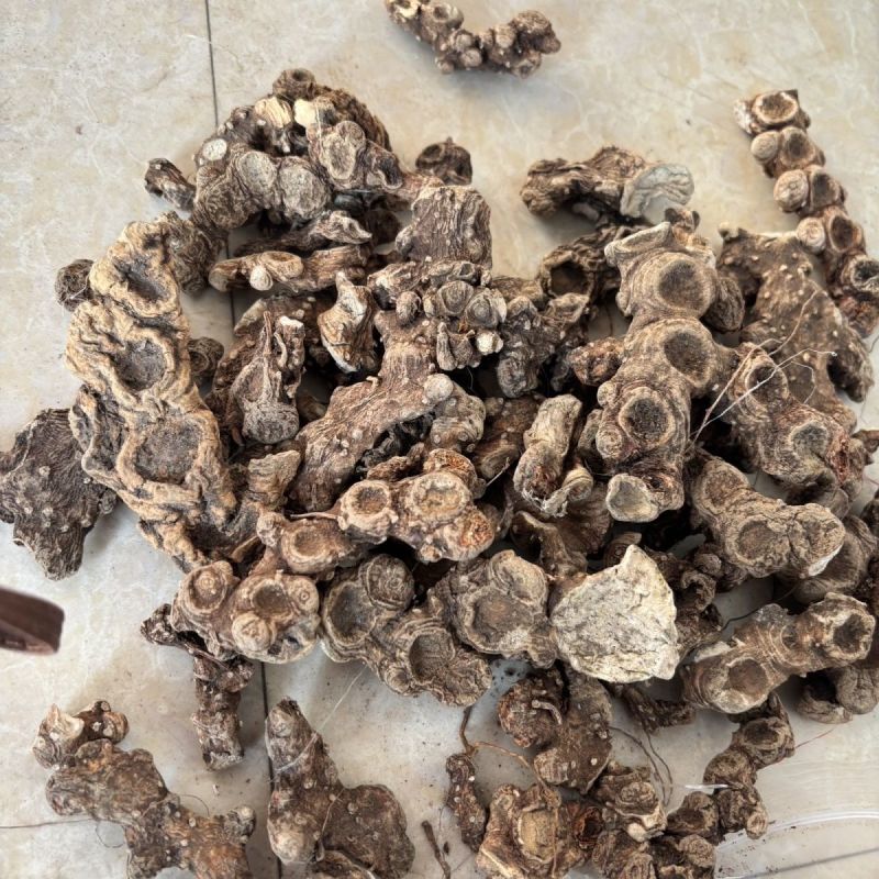 八角莲金魁莲鬼臼一把伞八角连八角七江边一碗水袋装中药材
