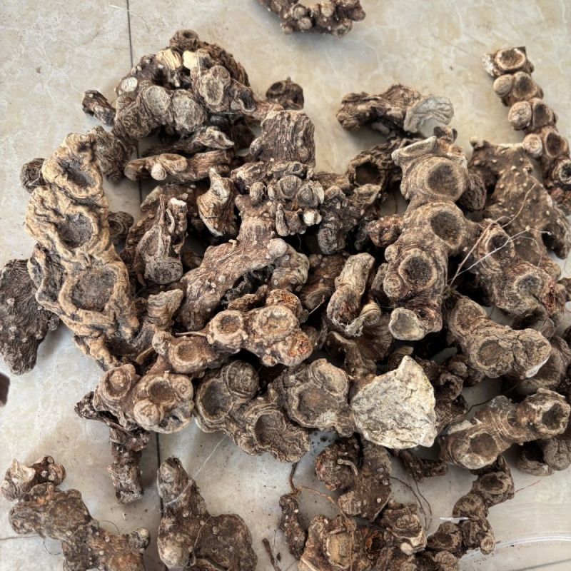 八角莲金魁莲鬼臼一把伞八角连八角七江边一碗水袋装中药材
