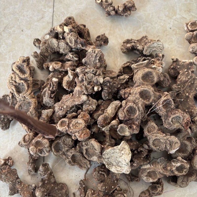 八角莲金魁莲鬼臼一把伞八角连八角七江边一碗水袋装中药材