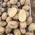 精品黄心土豆：希森77号高淀粉适合薯片加工厂和鲜食马铃薯