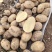 精品黄心土豆：希森77号高淀粉适合薯片加工厂和鲜食马铃薯