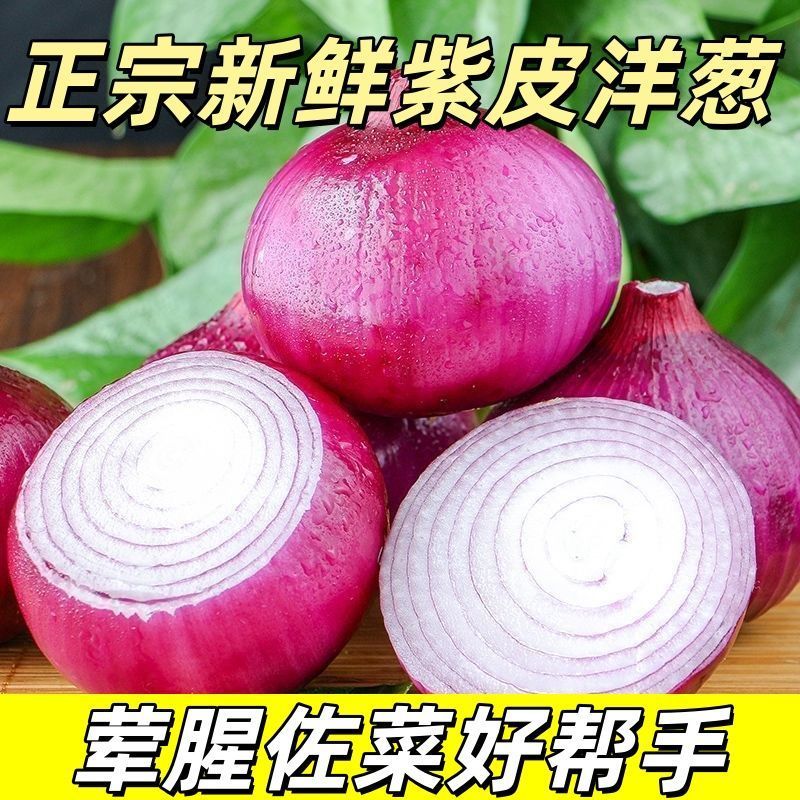 精品紫皮洋葱，高质量，低价格品质有保障，需要的联系