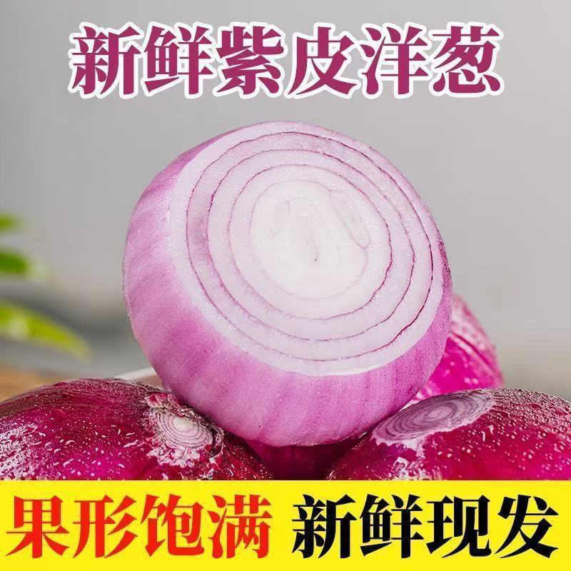 精品紫皮洋葱，高质量，低价格品质有保障，需要的联系