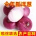 精品紫皮洋葱，高质量，低价格品质有保障，需要的联系