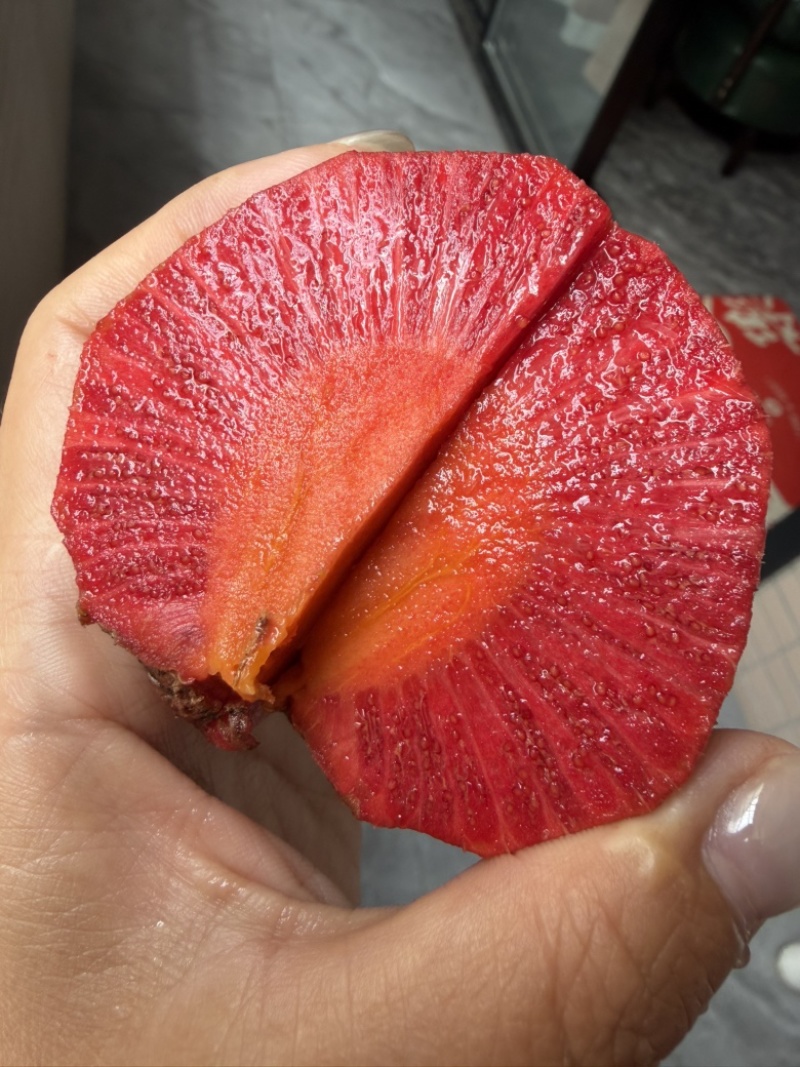 非洲桃苗