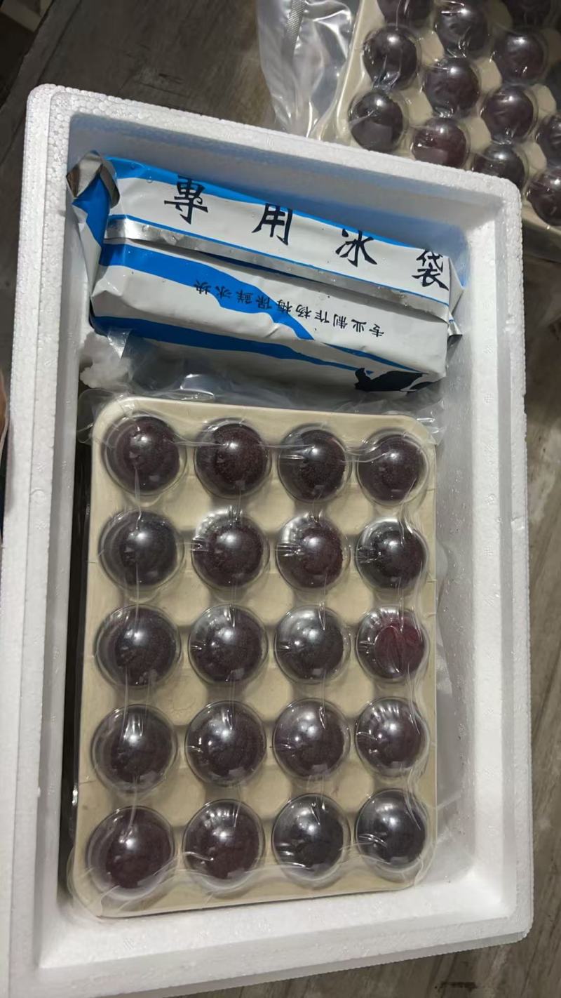 仙居东魁杨梅，仙居杨梅，东魁杨梅自产自销，可以上山采摘