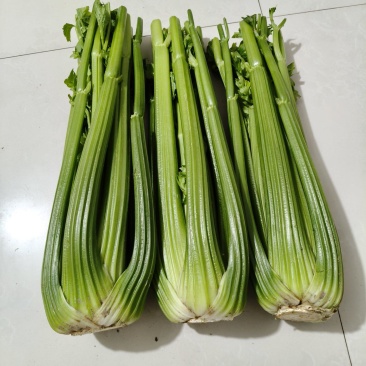 西芹