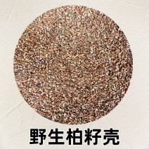 包邮【柏籽壳枕芯】柏壳枕头松柏壳子新货侧柏籽壳枕芯填充物
