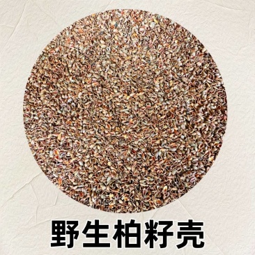 包邮【柏籽壳枕芯】柏壳枕头松柏壳子新货侧柏籽壳枕芯填充物