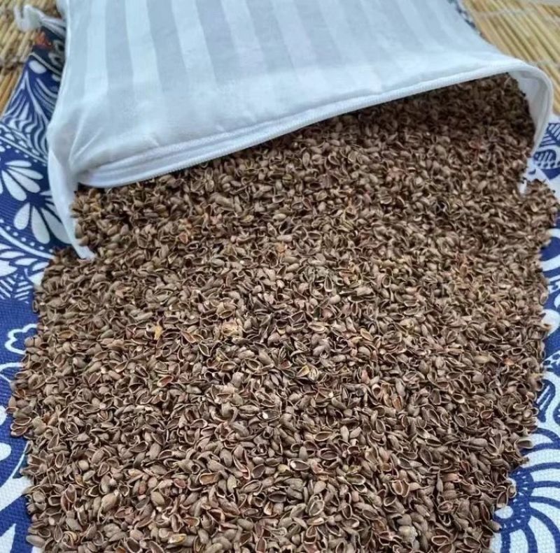 包邮【柏籽壳枕芯】柏壳枕头松柏壳子新货侧柏籽壳枕芯填充物