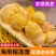 海南榴莲蜜大叶黄，大丁红新品种包邮到家坏果包赔