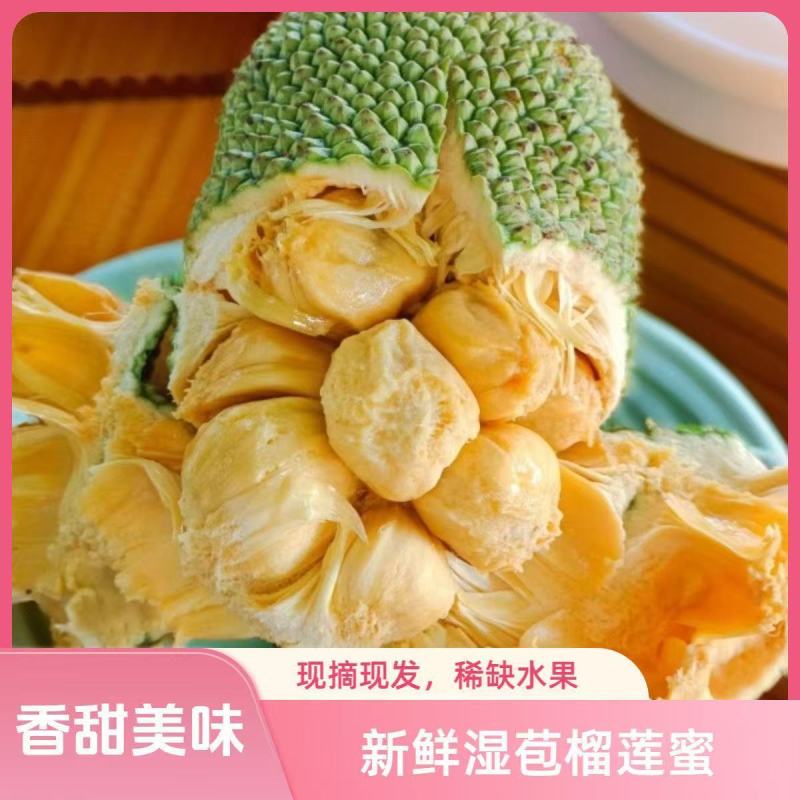 海南榴莲蜜大叶黄，大丁红新品种包邮到家坏果包赔
