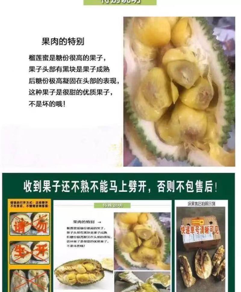 海南榴莲蜜大叶黄，大丁红新品种包邮到家坏果包赔
