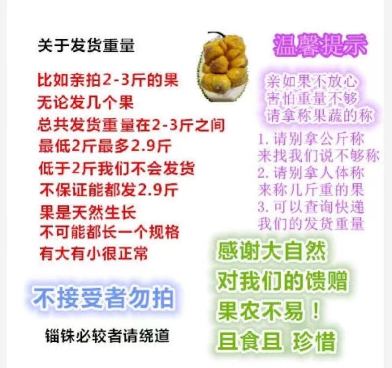 海南榴莲蜜大叶黄，大丁红新品种包邮到家坏果包赔