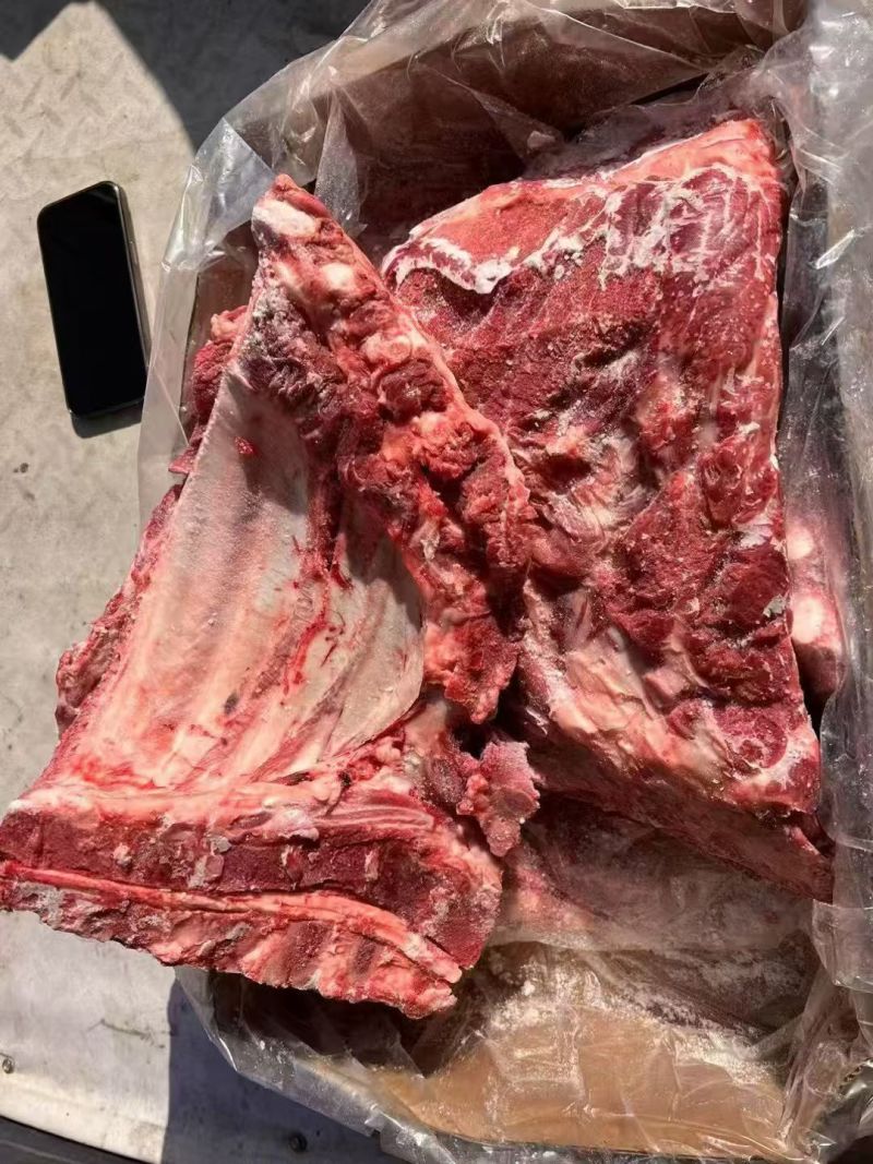 去颈前排，母猪新货