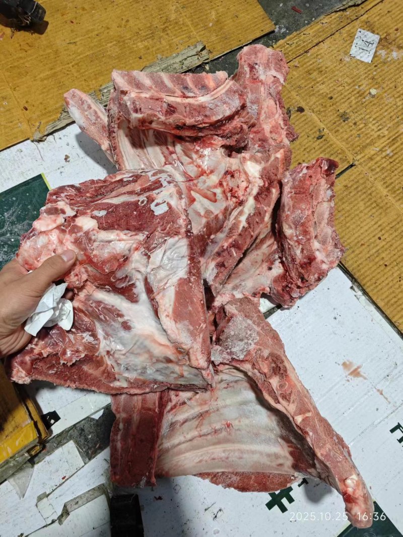 去颈前排，母猪新货