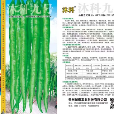 辣椒种子厂家直销，价格美丽规格齐全，质量保证可直接下单