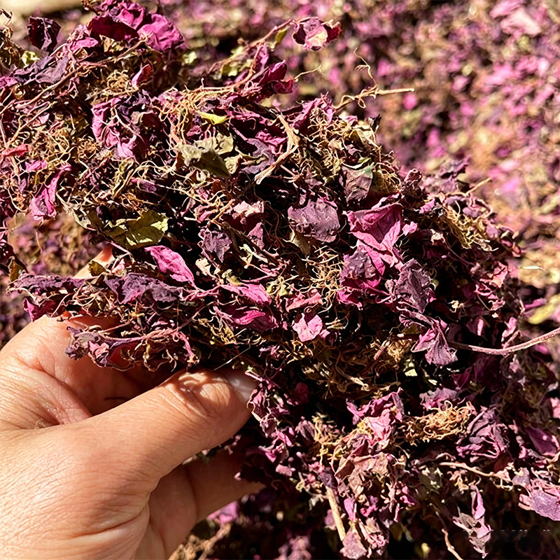 风柜斗草红风柜斗草风鼓草精选红叶水洗晒干批发一件代发