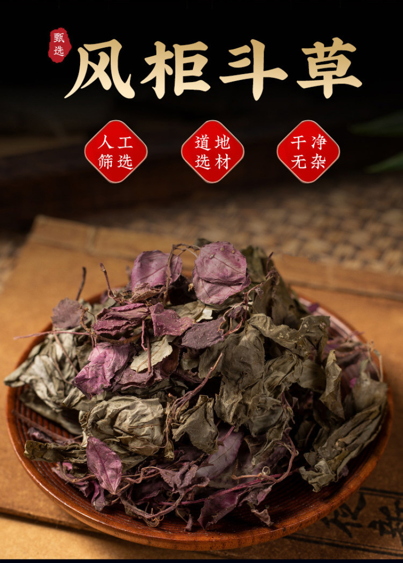 风柜斗草红风柜斗草风鼓草精选红叶水洗晒干批发一件代发