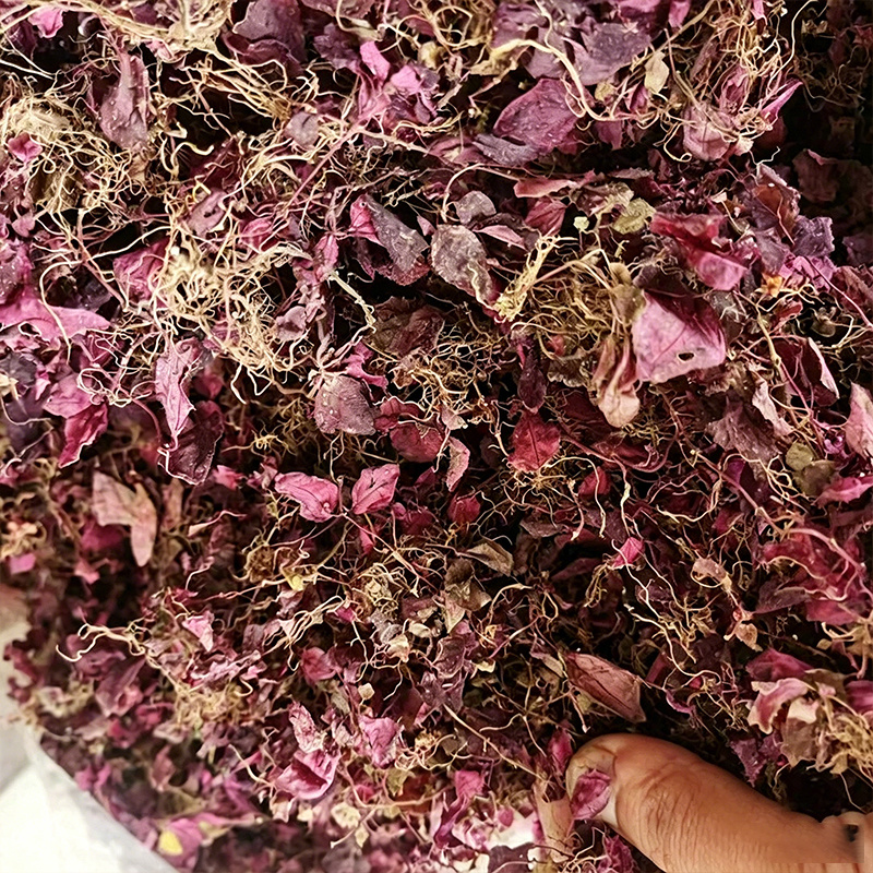 风柜斗草红风柜斗草风鼓草精选红叶水洗晒干批发一件代发