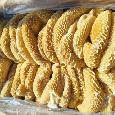 金钱肚，纯干货，长期有货，价格便宜，出称高