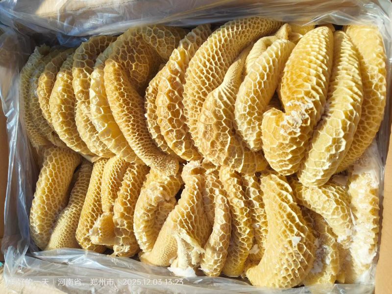 金钱肚，纯干货，长期有货，价格便宜，出称高