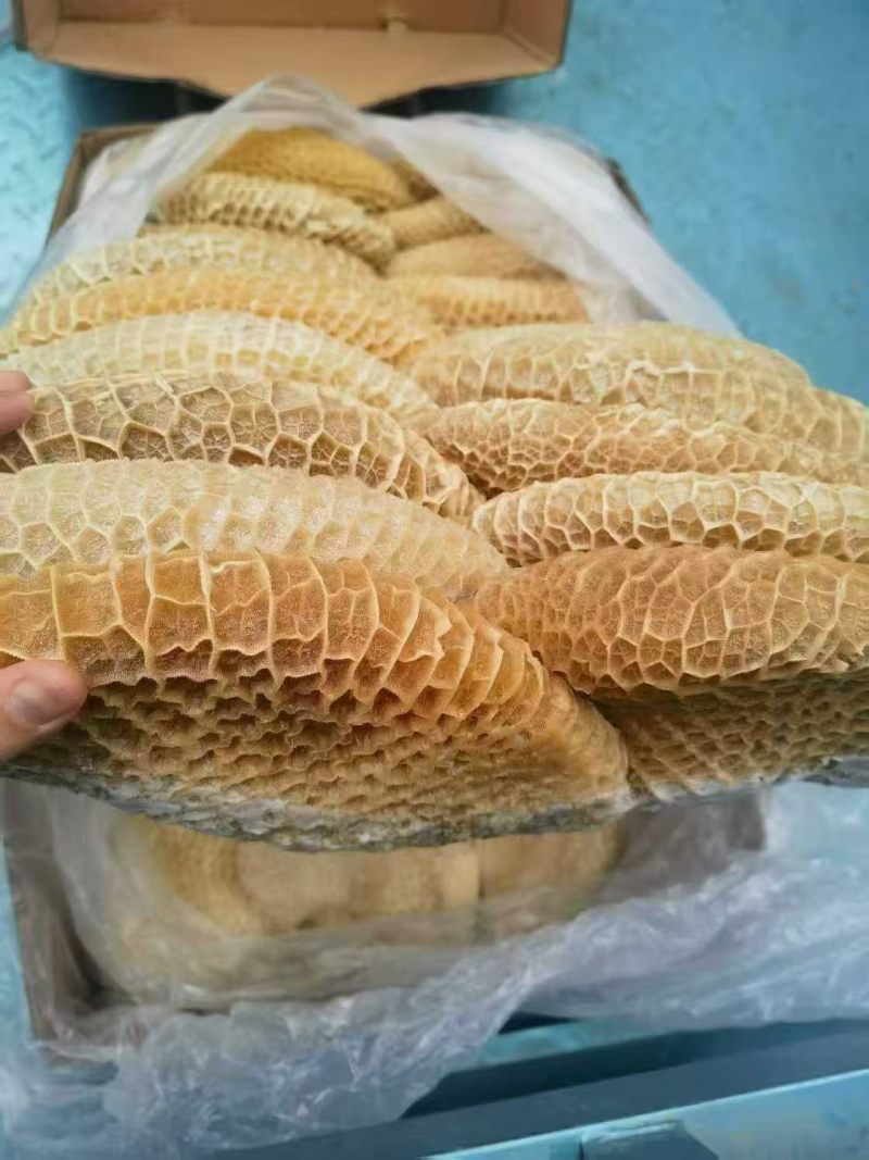 金钱肚，纯干货，长期有货，价格便宜，出称高