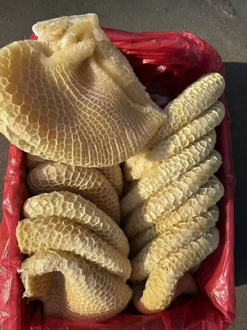 金钱肚，纯干货，长期有货，价格便宜，出称高