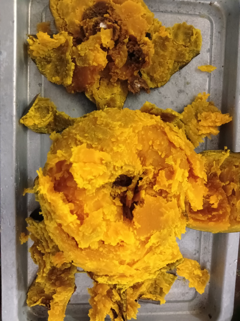 高品质爆粉贝贝南瓜，又粉又甜