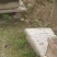 土蜂蜜
