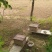 土蜂蜜