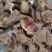 小块牛碎肉，原色原味，都瘦肉